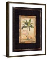 Banana Palm-Chad Barrett-Framed Art Print