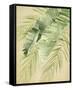 Banana Palms II-Jennifer Parker-Framed Stretched Canvas
