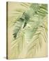 Banana Palms II-Jennifer Parker-Stretched Canvas