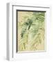 Banana Palms II-Jennifer Parker-Framed Art Print