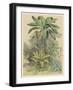 Banana Plant in the Tropics-null-Framed Art Print