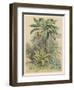 Banana Plant in the Tropics-null-Framed Art Print