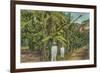 Banana Plantation in Jamaica-null-Framed Premium Giclee Print