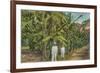 Banana Plantation in Jamaica-null-Framed Premium Giclee Print