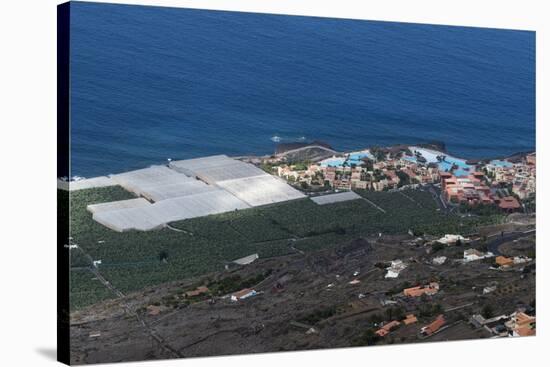 Banana plantations, El Remo, La Palma Island, Canary Islands, Spain, Atlantic, Europe-Sergio Pitamitz-Stretched Canvas