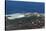 Banana plantations, El Remo, La Palma Island, Canary Islands, Spain, Atlantic, Europe-Sergio Pitamitz-Stretched Canvas