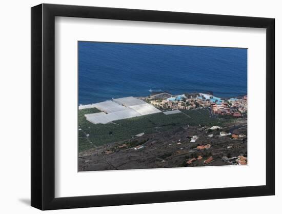 Banana plantations, El Remo, La Palma Island, Canary Islands, Spain, Atlantic, Europe-Sergio Pitamitz-Framed Photographic Print