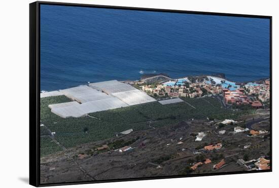 Banana plantations, El Remo, La Palma Island, Canary Islands, Spain, Atlantic, Europe-Sergio Pitamitz-Framed Stretched Canvas