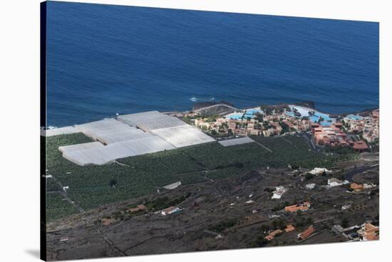 Banana plantations, El Remo, La Palma Island, Canary Islands, Spain, Atlantic, Europe-Sergio Pitamitz-Stretched Canvas