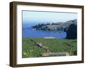 Banana Plantations, Tenerife, Canary Islands, Spain, Atlantic, Europe-Harding Robert-Framed Photographic Print