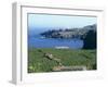 Banana Plantations, Tenerife, Canary Islands, Spain, Atlantic, Europe-Harding Robert-Framed Photographic Print