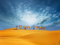 Wild Horses Pasturing on Mountain Environment. Beautiful Nature Background-Banana Republic images-Photographic Print