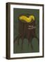 Banana Slug-Lantern Press-Framed Art Print