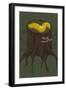 Banana Slug-Lantern Press-Framed Art Print