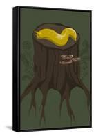 Banana Slug-Lantern Press-Framed Stretched Canvas