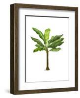 Banana Tree 1-Fab Funky-Framed Art Print