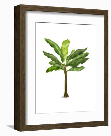 Banana Tree 1-Fab Funky-Framed Art Print