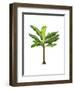 Banana Tree 1-Fab Funky-Framed Art Print