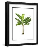 Banana Tree 1-Fab Funky-Framed Art Print