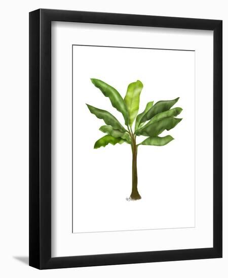 Banana Tree 1-Fab Funky-Framed Art Print