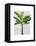 Banana Tree 1-Fab Funky-Framed Stretched Canvas