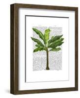 Banana Tree 1-Fab Funky-Framed Art Print