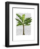 Banana Tree 1-Fab Funky-Framed Art Print