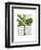 Banana Tree 1-Fab Funky-Framed Art Print