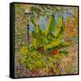 Banana Tree, 2016-Anthony Butera-Framed Stretched Canvas