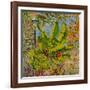 Banana Tree, 2016-Anthony Butera-Framed Giclee Print