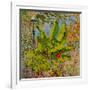 Banana Tree, 2016-Anthony Butera-Framed Giclee Print