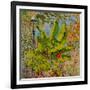 Banana Tree, 2016-Anthony Butera-Framed Giclee Print