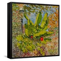 Banana Tree, 2016-Anthony Butera-Framed Stretched Canvas