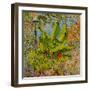 Banana Tree, 2016-Anthony Butera-Framed Giclee Print