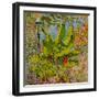 Banana Tree, 2016-Anthony Butera-Framed Giclee Print