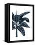 Banana Tree 3, Blue-Fab Funky-Framed Stretched Canvas