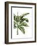 Banana Tree 3, Green-Fab Funky-Framed Art Print