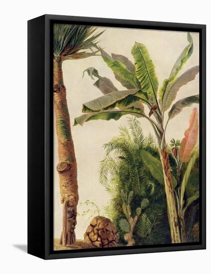 Banana Tree, C.1865-Frederic Edwin Church-Framed Stretched Canvas