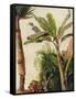 Banana Tree, C.1865-Frederic Edwin Church-Framed Stretched Canvas