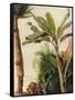 Banana Tree, C.1865-Frederic Edwin Church-Framed Stretched Canvas