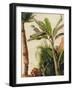 Banana Tree, C.1865-Frederic Edwin Church-Framed Premium Giclee Print