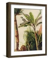 Banana Tree, C.1865-Frederic Edwin Church-Framed Giclee Print