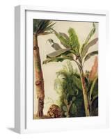 Banana Tree, C.1865-Frederic Edwin Church-Framed Giclee Print