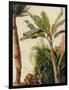 Banana Tree, C.1865-Frederic Edwin Church-Framed Giclee Print