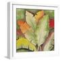 Banana Tree Leaves-Ormsby, Anne Ormsby-Framed Premium Giclee Print