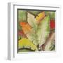 Banana Tree Leaves-Ormsby, Anne Ormsby-Framed Art Print