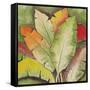 Banana Tree Leaves-Ormsby, Anne Ormsby-Framed Stretched Canvas