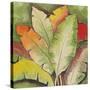 Banana Tree Leaves-Ormsby, Anne Ormsby-Stretched Canvas