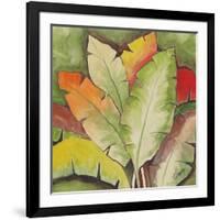 Banana Tree Leaves-Ormsby, Anne Ormsby-Framed Art Print