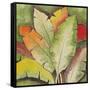 Banana Tree Leaves-Ormsby, Anne Ormsby-Framed Stretched Canvas